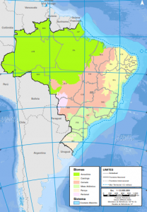 Ibge Lan A Mapa Com Biomas Brasileiros O Presente