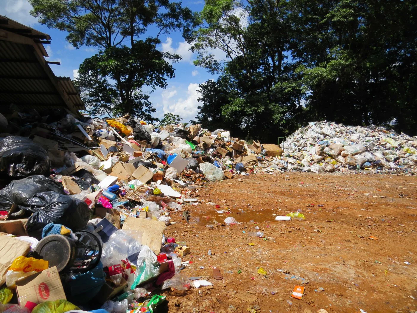 Começamos hoje a Semana Nacional do Meio Ambiente abordando o tema Lixo.