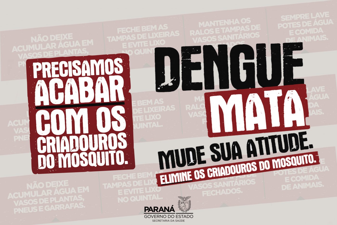 Paraná Tem Hoje 5343 Casos De Dengue Confirmados O Presente 