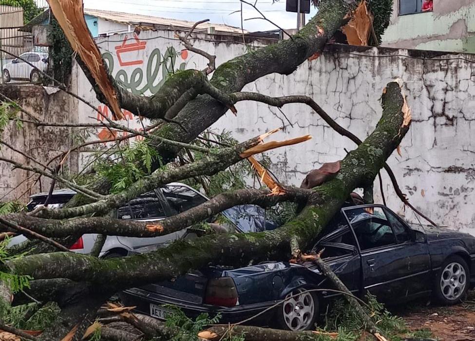 Duas pessoas morrem após carro bater em veículos e capotar em plantação, na  BR-369, em Corbélia, Oeste e Sudoeste