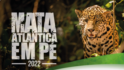 Percepções sobre o ambiente da Mata Atlântica, identificadas nos