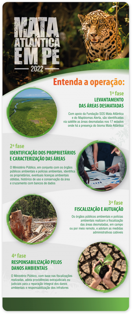 Percepções sobre o ambiente da Mata Atlântica, identificadas nos