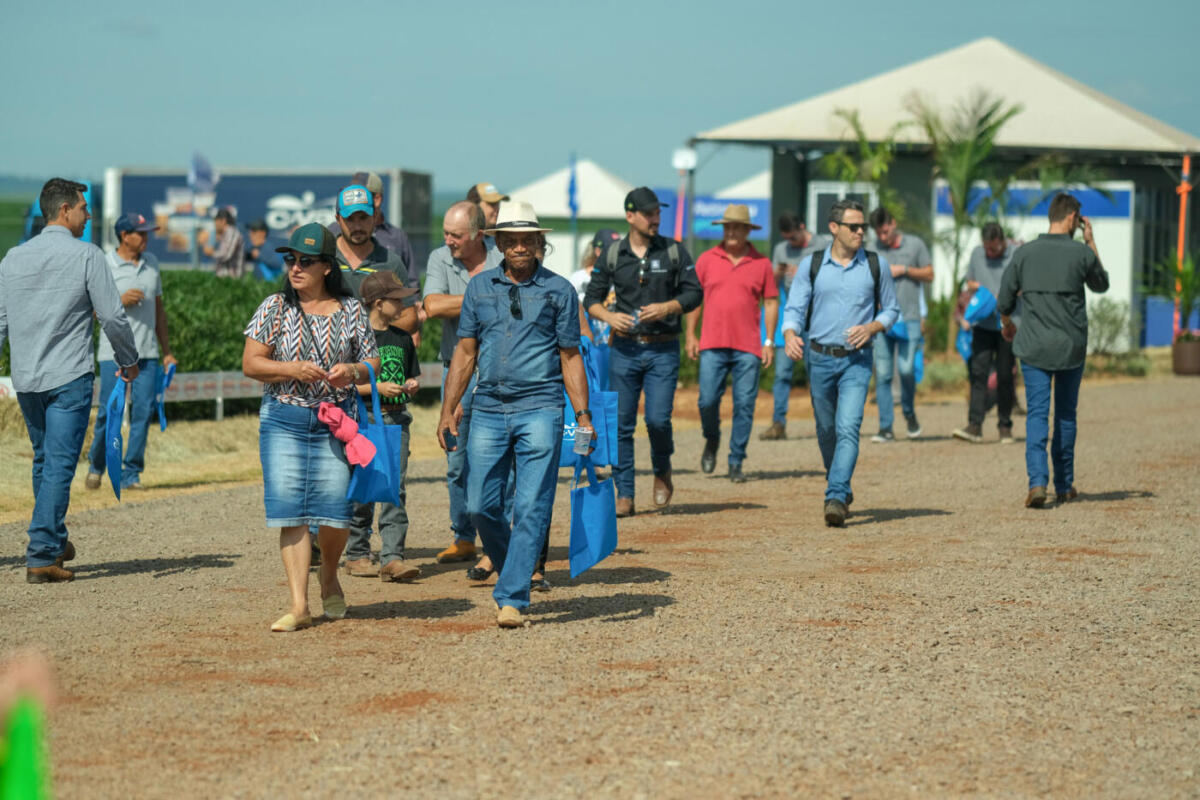 IHARA apresenta soluções inovadoras para a cultura de soja no Dia de Campo  C.Vale 2021 - Diário Agrícola