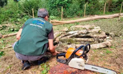 Lote 1 da nova concessão terá 156 km de duplicação na BR-277, entre  Curitiba e Prudentópolis